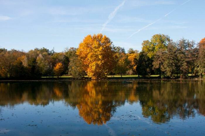 La faune au domaine de Soucy / LSF 2-4 Rue du Mont Louvet