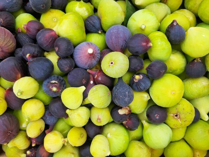 La Figoulade La Figoulade