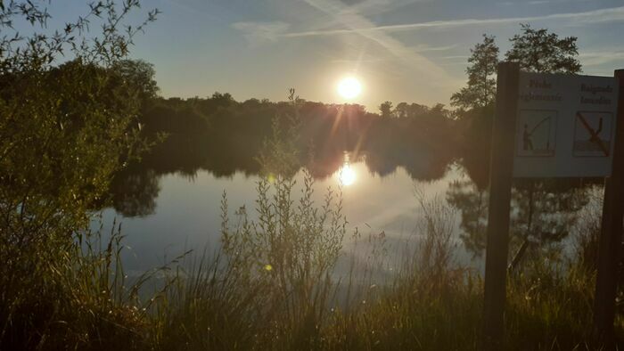 La forêt de Mormal contée par "Les Chemins de l'Ecureuil!" 59530 Locquignol