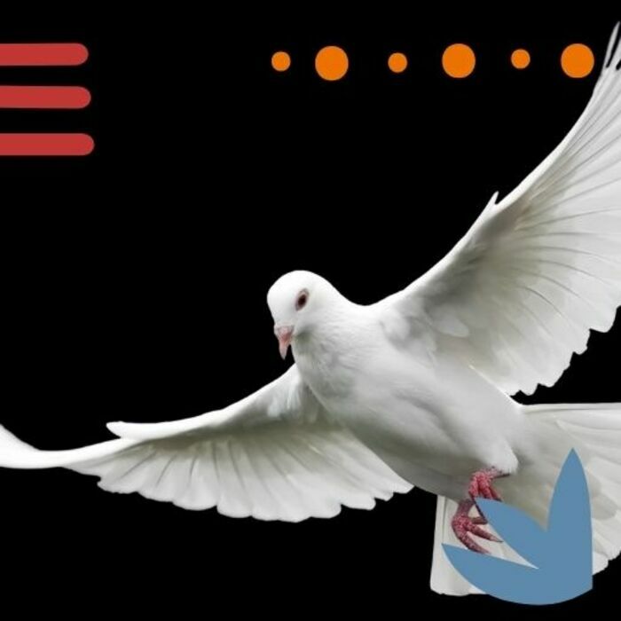 La liberté. Force vive