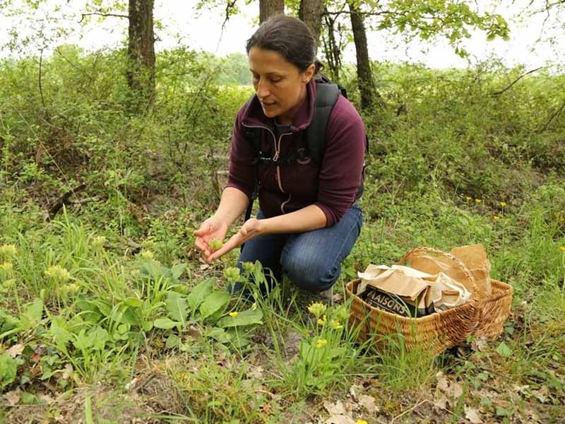 La nature dans son assiette !