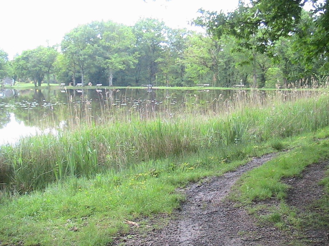 La ronde des étangs