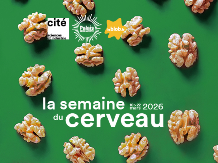La semaine du cerveau 2026 Les Étincelles du Palais de la découverte Paris