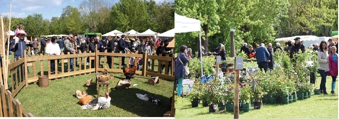 La terre à l'honneur à Chloroph'îles ile forget Saint-Sébastien-sur-Loire