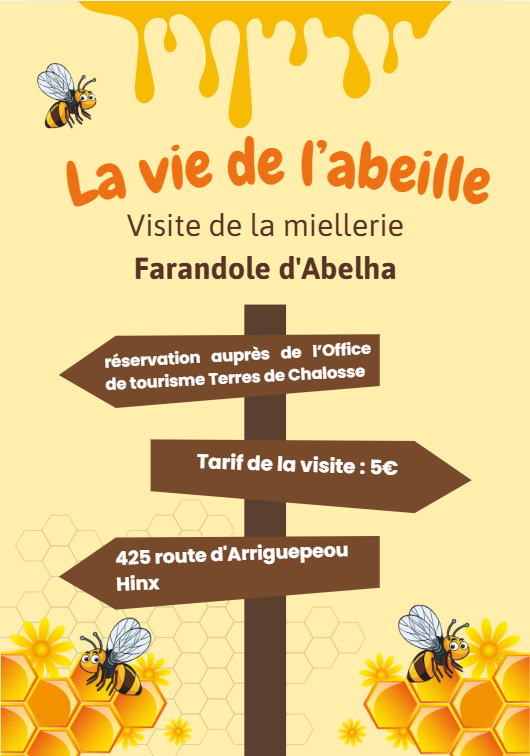 La vie de l'abeille visite d'une miellerie