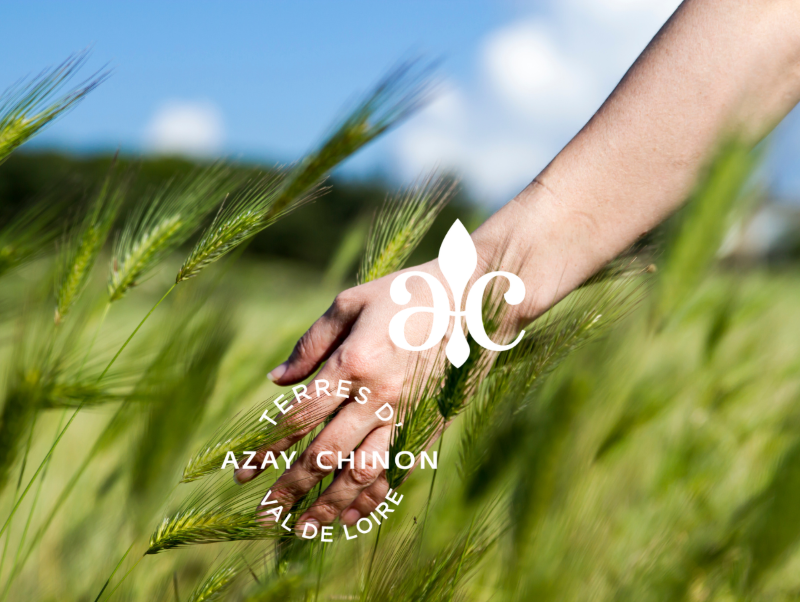 Le Bocage Balade gourmande entre nature et agriculture