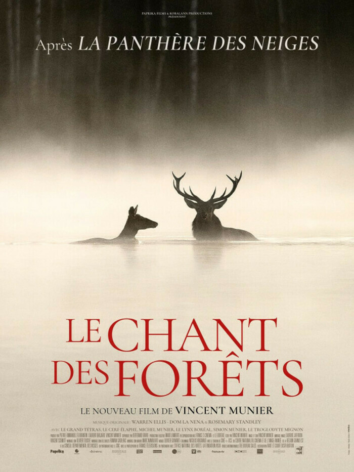 Le Chant des forêts CinéPilat Pélussin