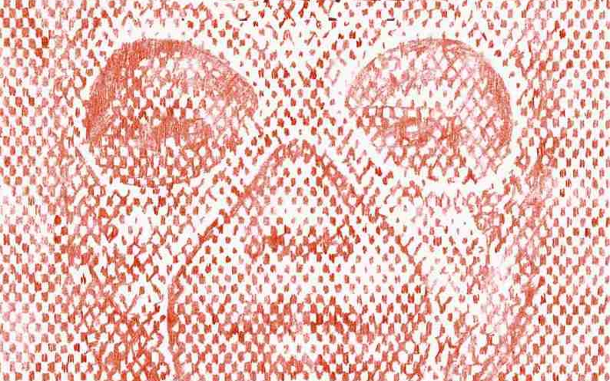 Le Chili à l'honneur