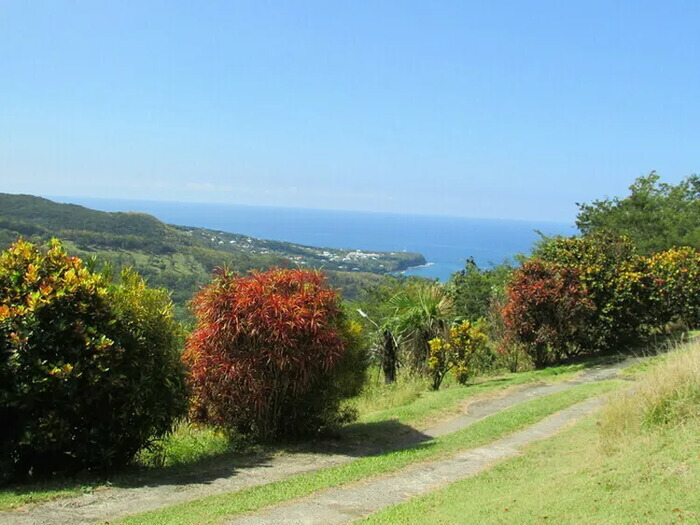 LE DOMAINE LUCINTHE IDALIE domaine lucinthe idalie Deshaies