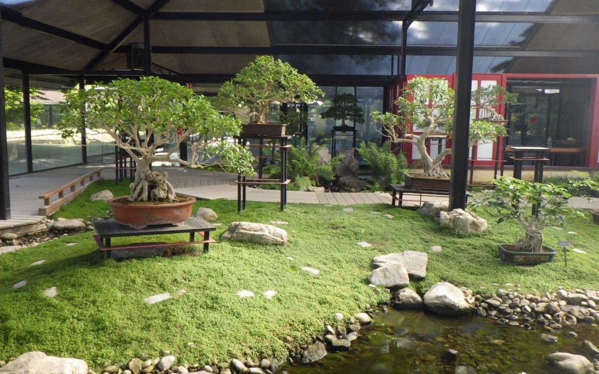 Le Parc Floral et sa collection permanente des Bonsaïs Parc Floral de Paris  Paris