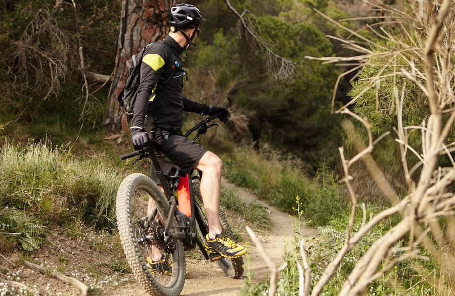 Le Pauloibars Trophée Baterosse