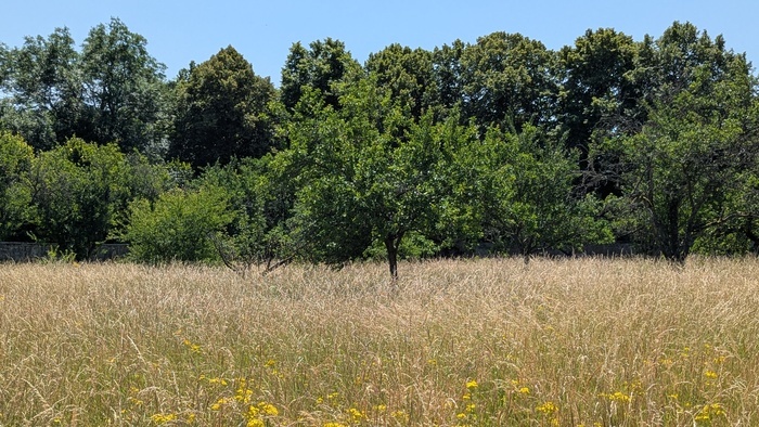 Le regard botaniste Cité des paysages Saxon-Sion