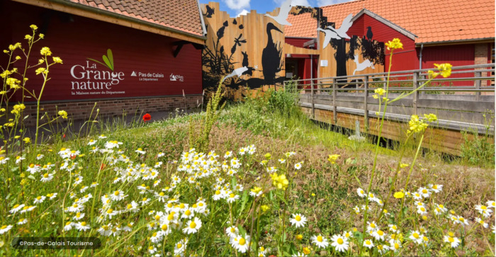 Le retour du Bièvre dans le Pas-de-Calais Grange Nature