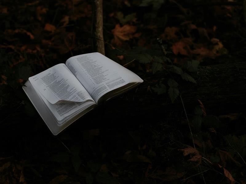 Lecture de contes et activités 44 avenue Foch Niederbronn-les-Bains 2026-03-05 Lecture de contes et activités