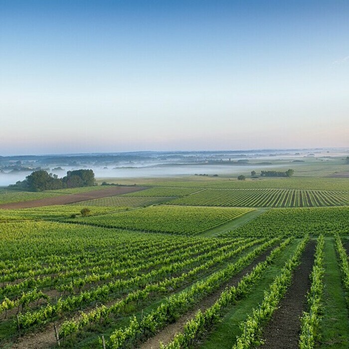 L'Entre-deux-Mers fête l'Agriculture et l'Alimentation Cœur Entre-deux-Mers Targon
