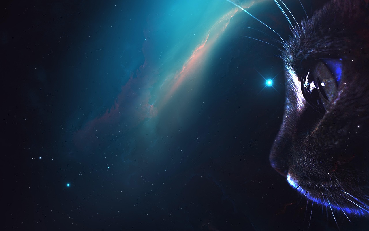 Les animaux de l'espace