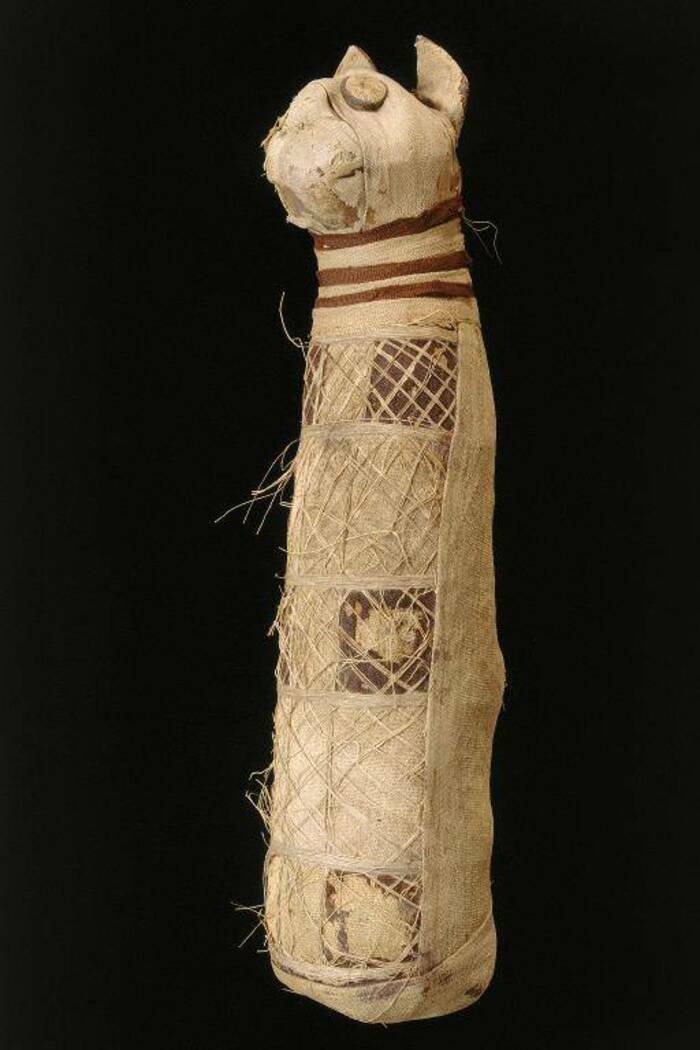 Les collections archéologiques - ANNULÉE Musée Quai Zola Rennes