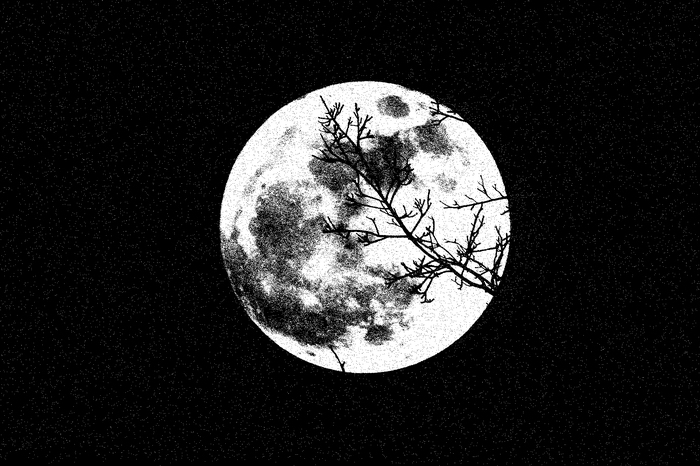 Les échos du silence Opéra Lille