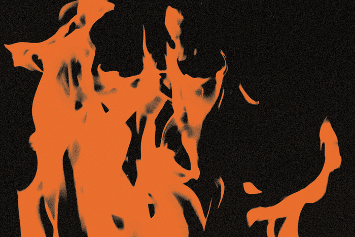 Les Enfants terribles Opéra Lille