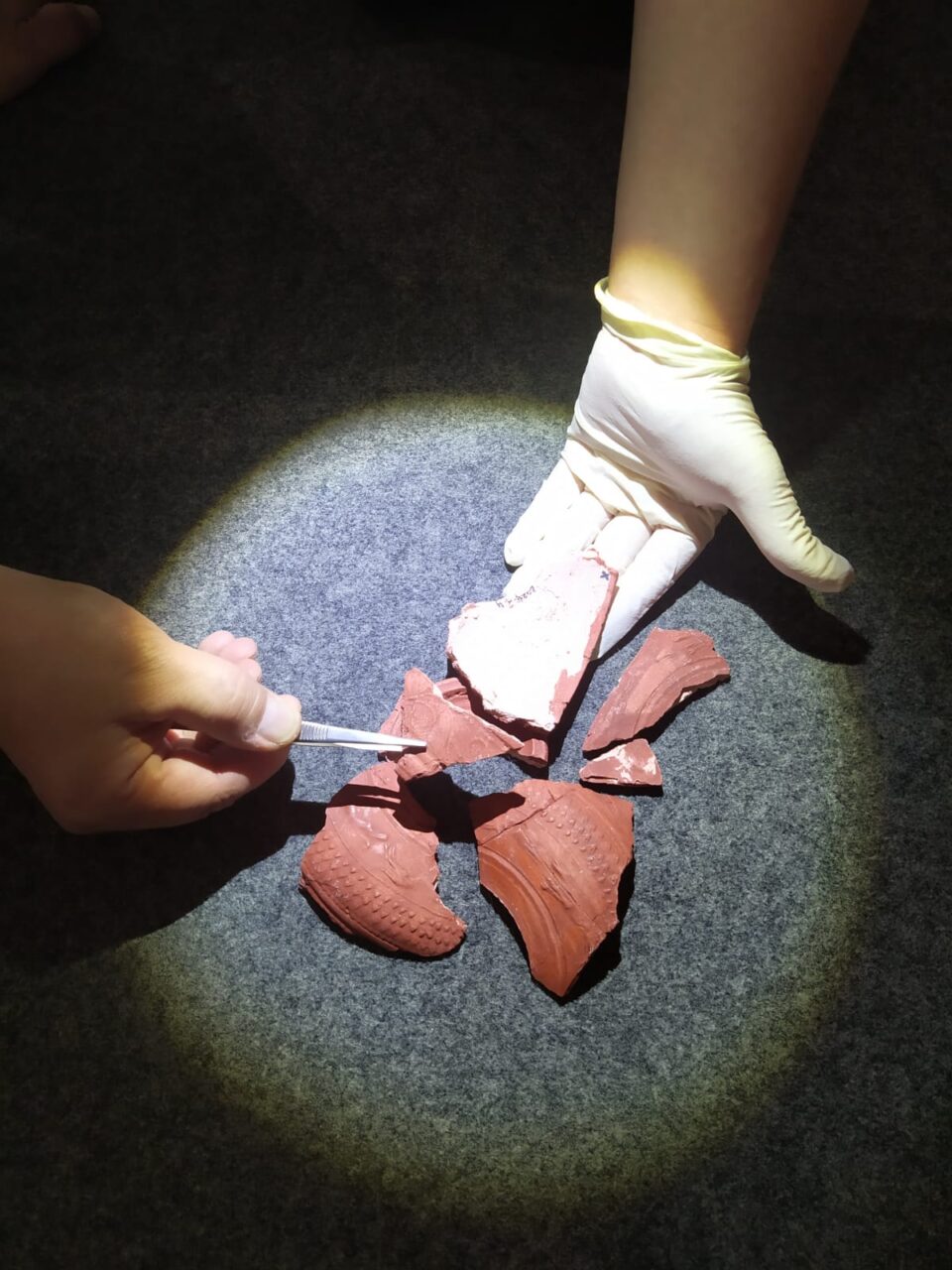 Les Étonnants Patrimoines Mystère au musée Musée de Normandie Caen