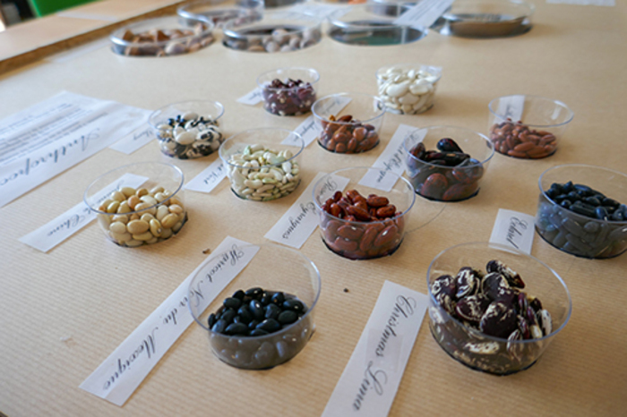 Les graines sont à l’honneur Centre national de Pomologie Alès