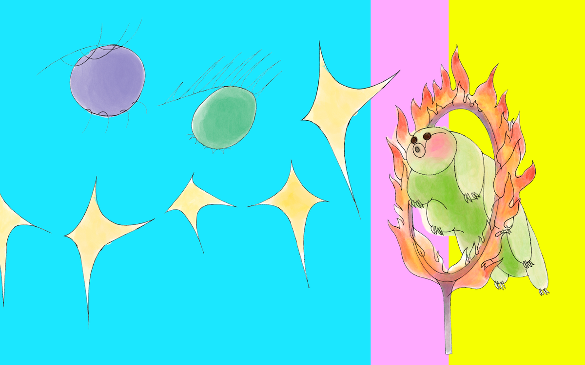 Les Grands Yeux 2026 : festival du documentaire La Gaîté Lyrique Paris