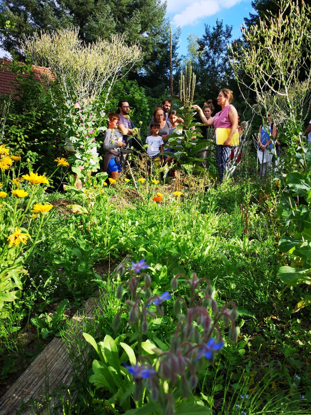 Les héros de l’ombre ! Moustiques