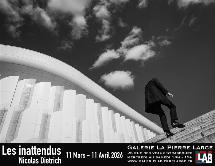 Les inattendus de Nicolas Dietrich Galerie la pierre large Strasbourg