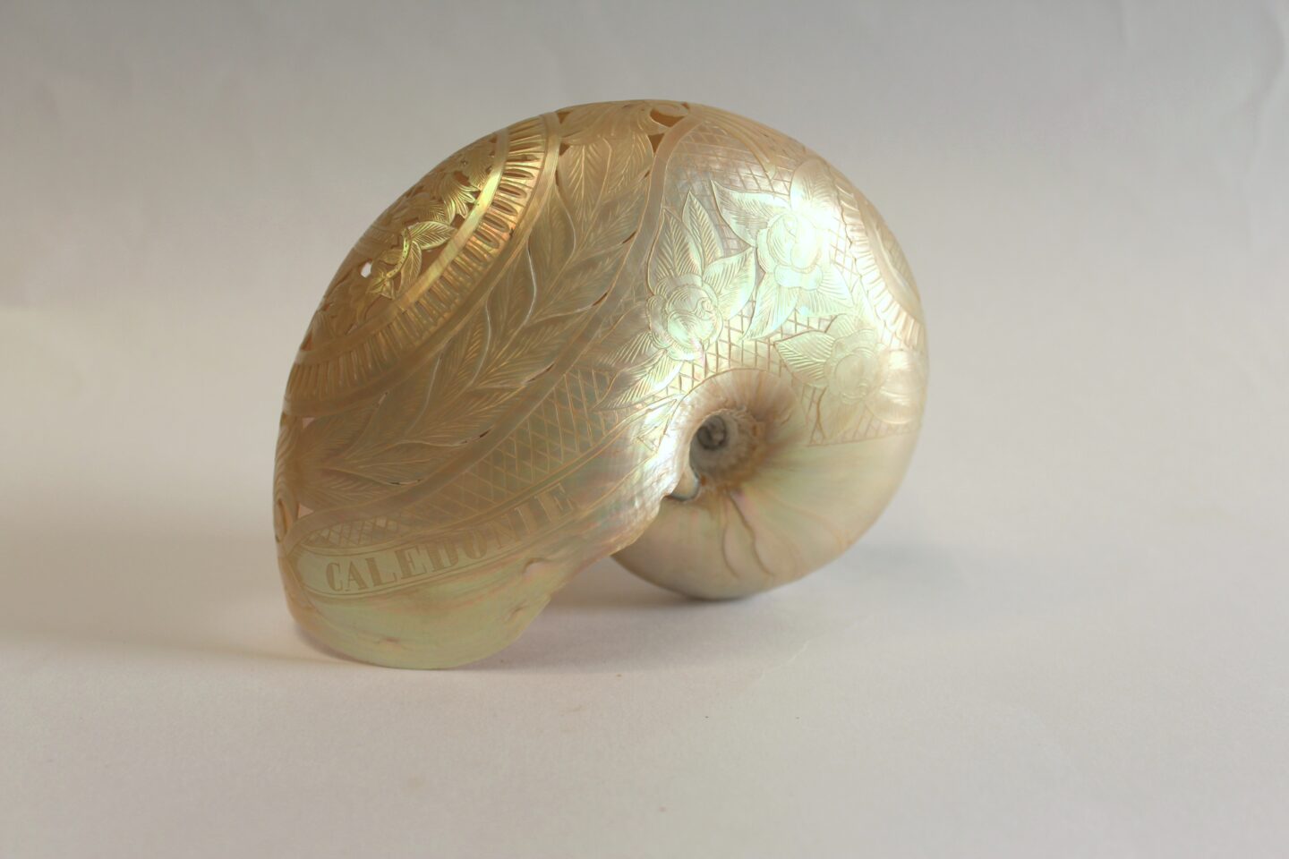 Les jeudis du musée Les collections océaniennes