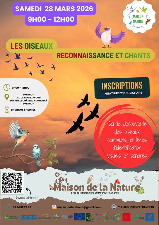 Les oiseaux