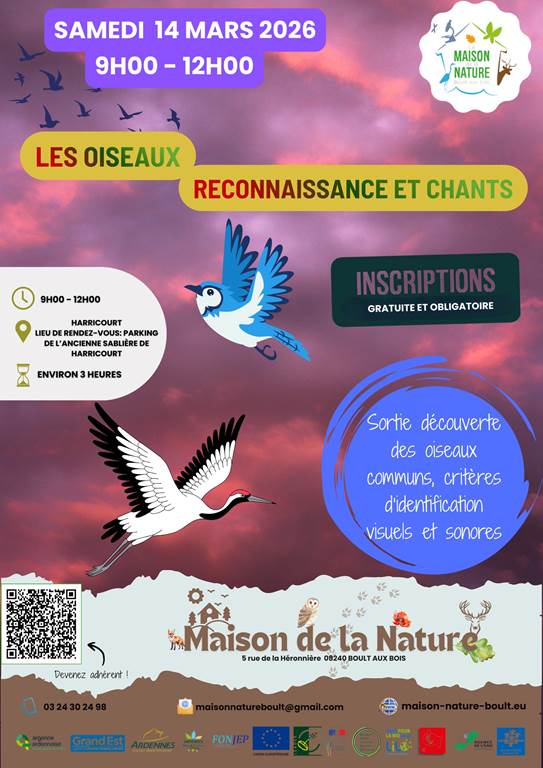 Les oiseaux