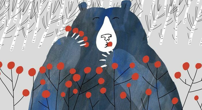 L’Ourse et l’oiseau Le Sémaphore Nîmes