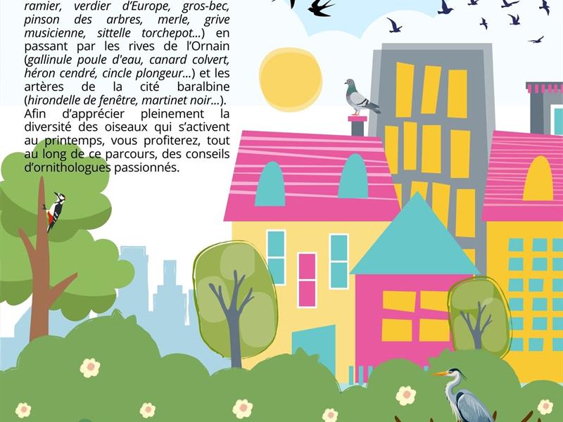 Matinée découverte des oiseaux