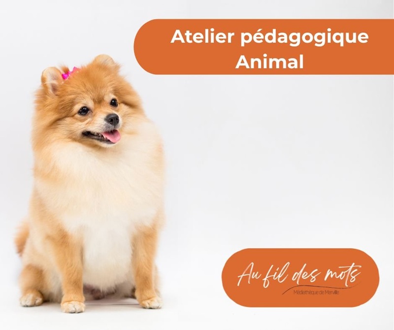 MÉDIATION ANIMALE LE CHIEN (4/6 ET 7/10 ANS)