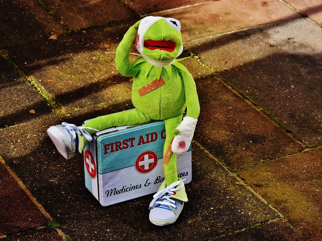 Mercredis nature SOS animal sauvage en Détresse !