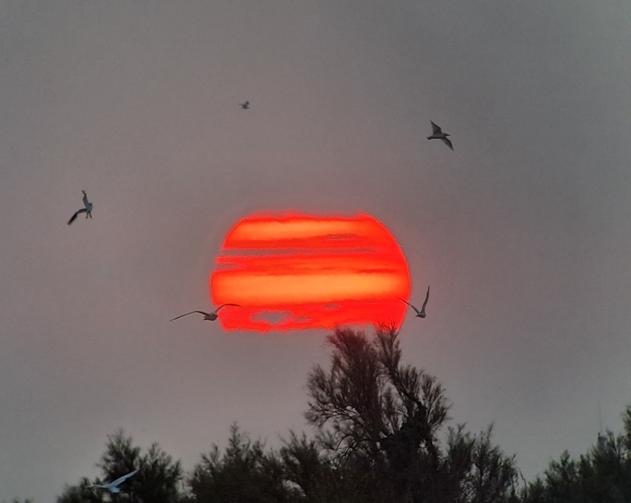 MERVILLE-FRANCEVILLE/14 : Animation GONm Parking de la Redoute Merville-Franceville-Plage