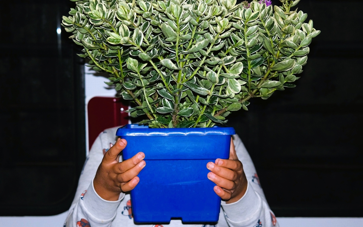 Mois de la photo du 14e