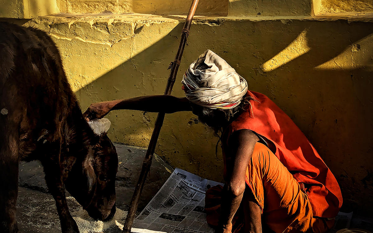 Mois de la photo du 14e