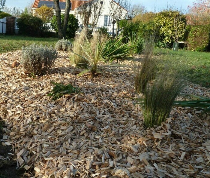 Mon massif "Zéro arrosage" Métropole Rouen Normandie Rouen