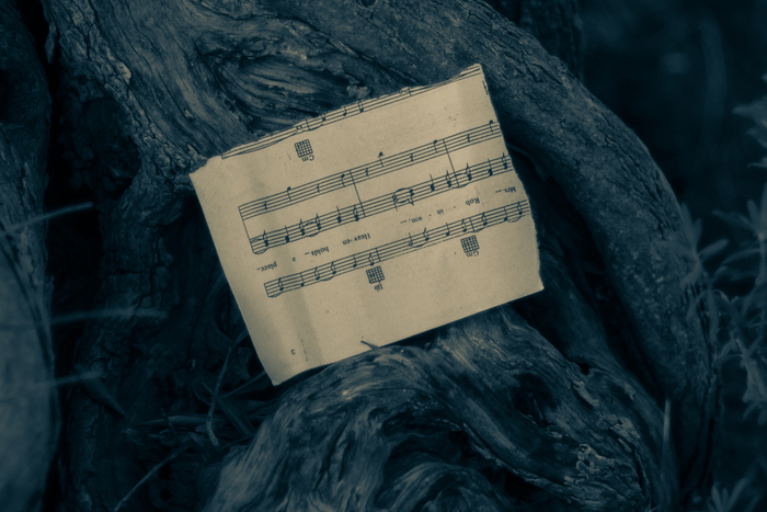 Musique et écologie : connexions et enjeux Bibliothèque de la Cité Genève