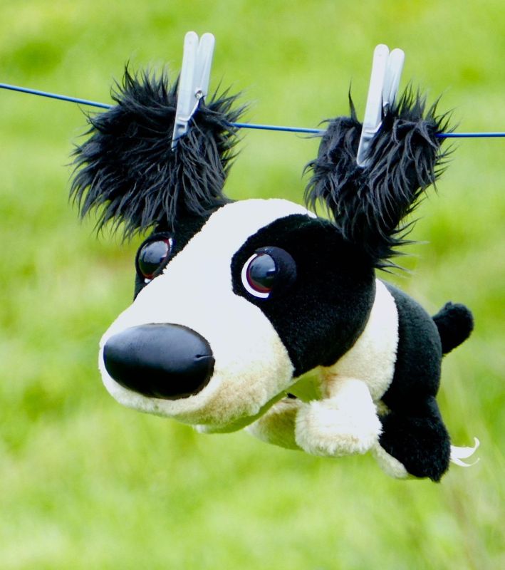 Musique Le bal des doudous