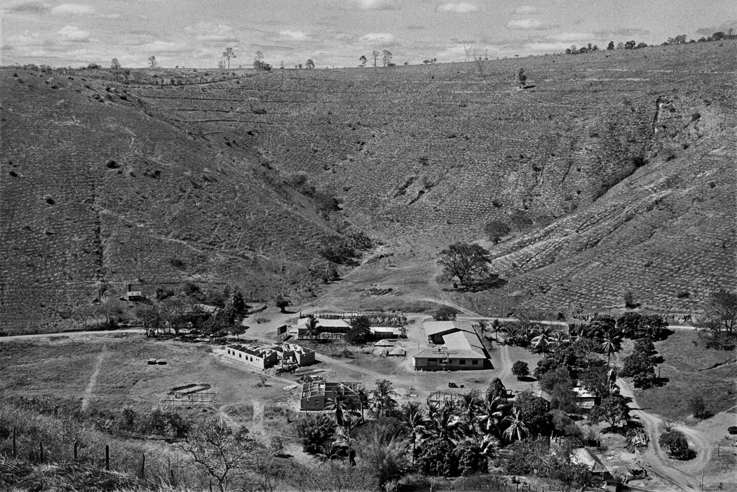 Cette image, prise en 2001 par Sebastião Salgado seulement trois ans après la création de l’Instituto Terra, montre l’aridité et l’état de la dégradation environnementale du sol. Les petits points visibles au sol sont des trous où des semis ont été plantés.