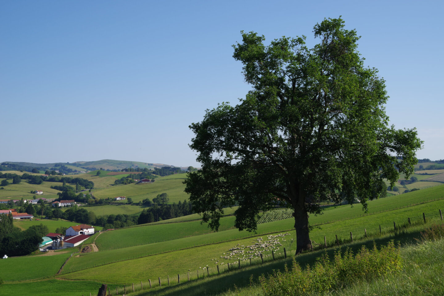 Papa T'Trail trail et marche solidaire