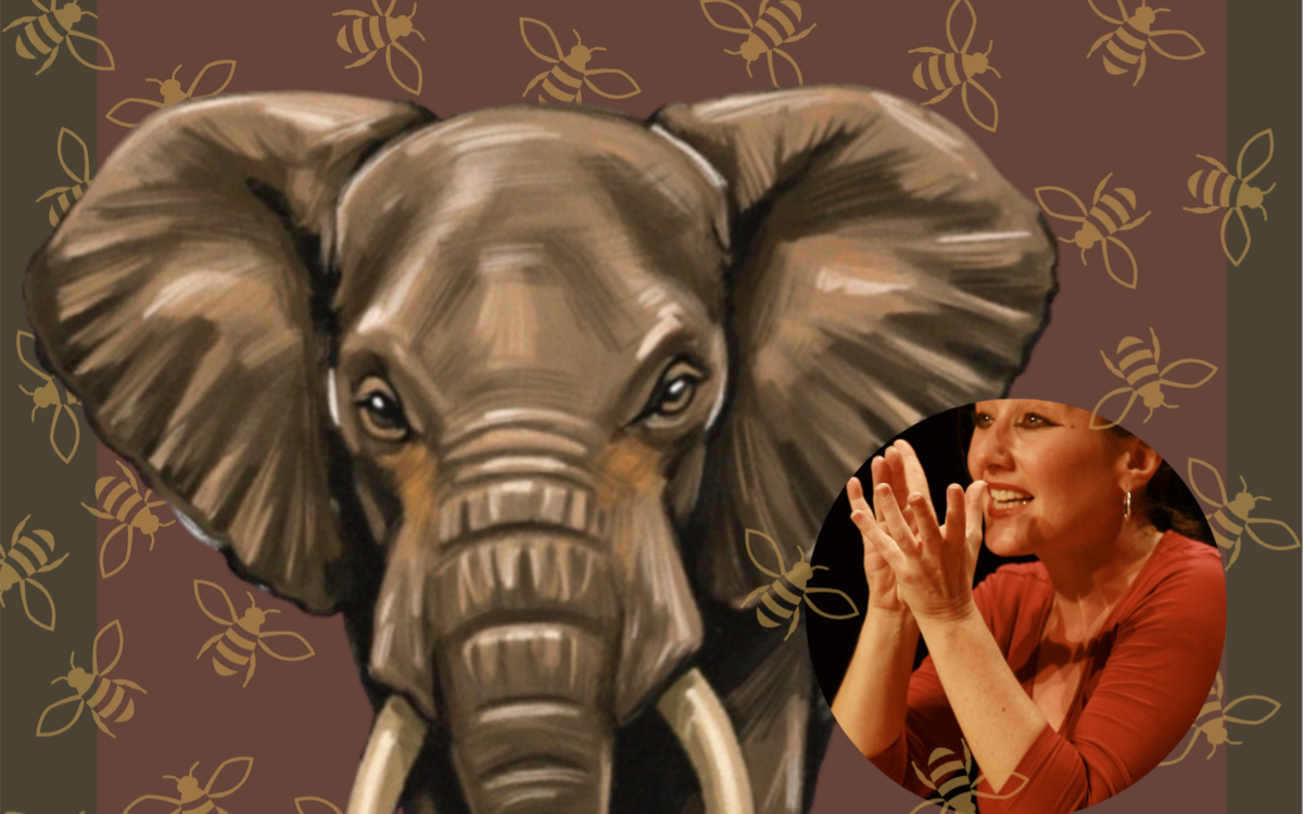 Papoum et autres contes d'animaux Bibliothèque des Batignolles  Paris