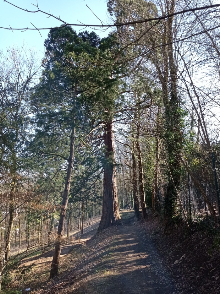 Parc de la Gloriette Parc de la Gloriette Chaumont