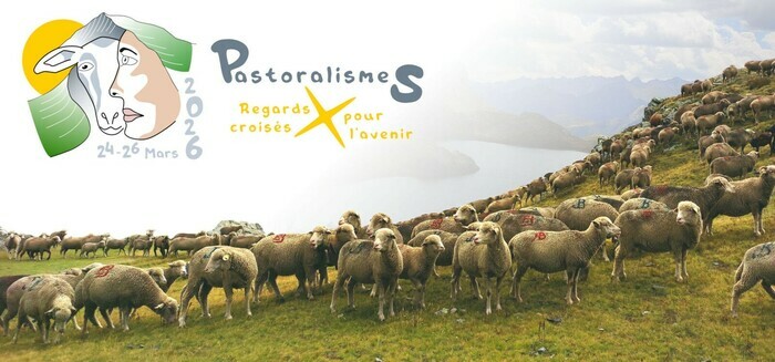 Pastoralismes