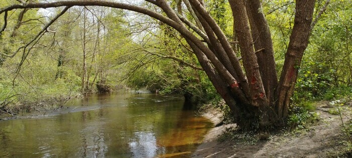 Pédalons au fil de l'eau