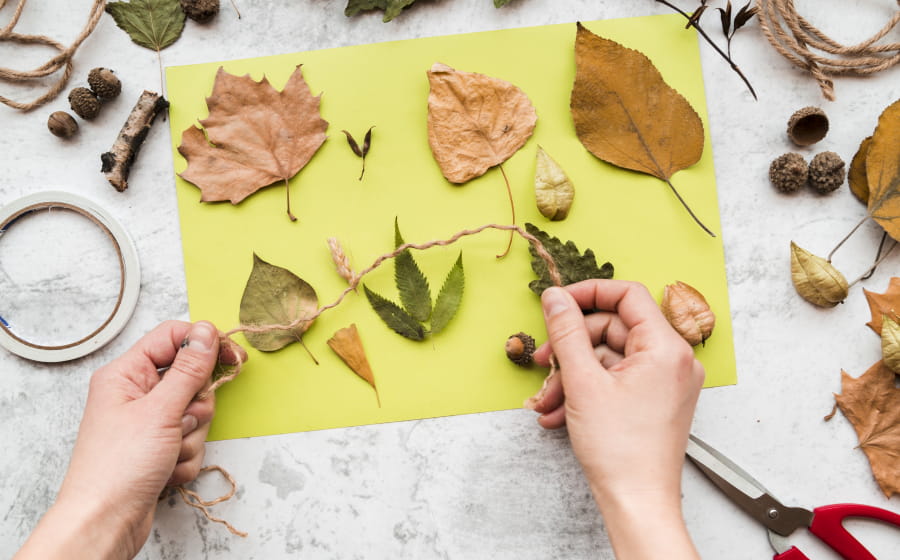 Petits explorateurs et grands créateurs