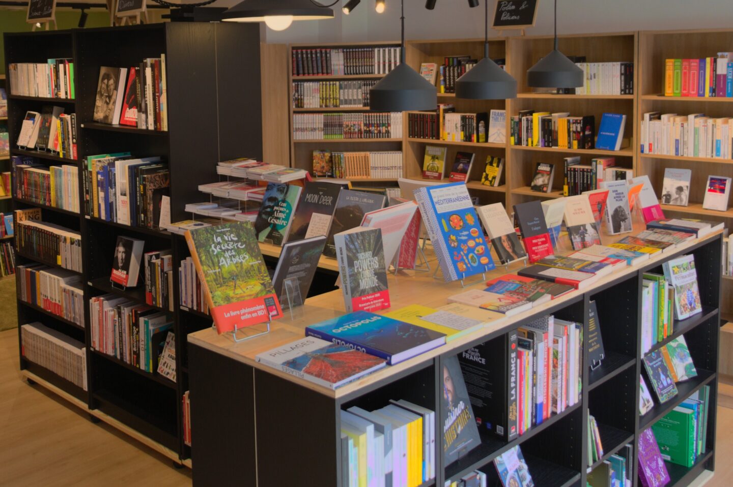 pieuvre lit librairie bruz