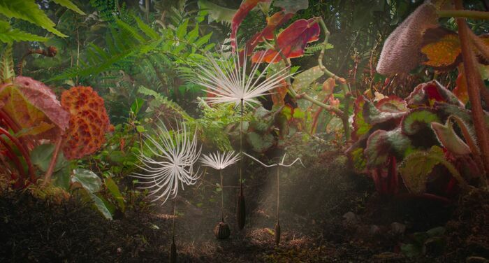 Planètes de Momoko Seto Diagonal-Capitole Montpellier
